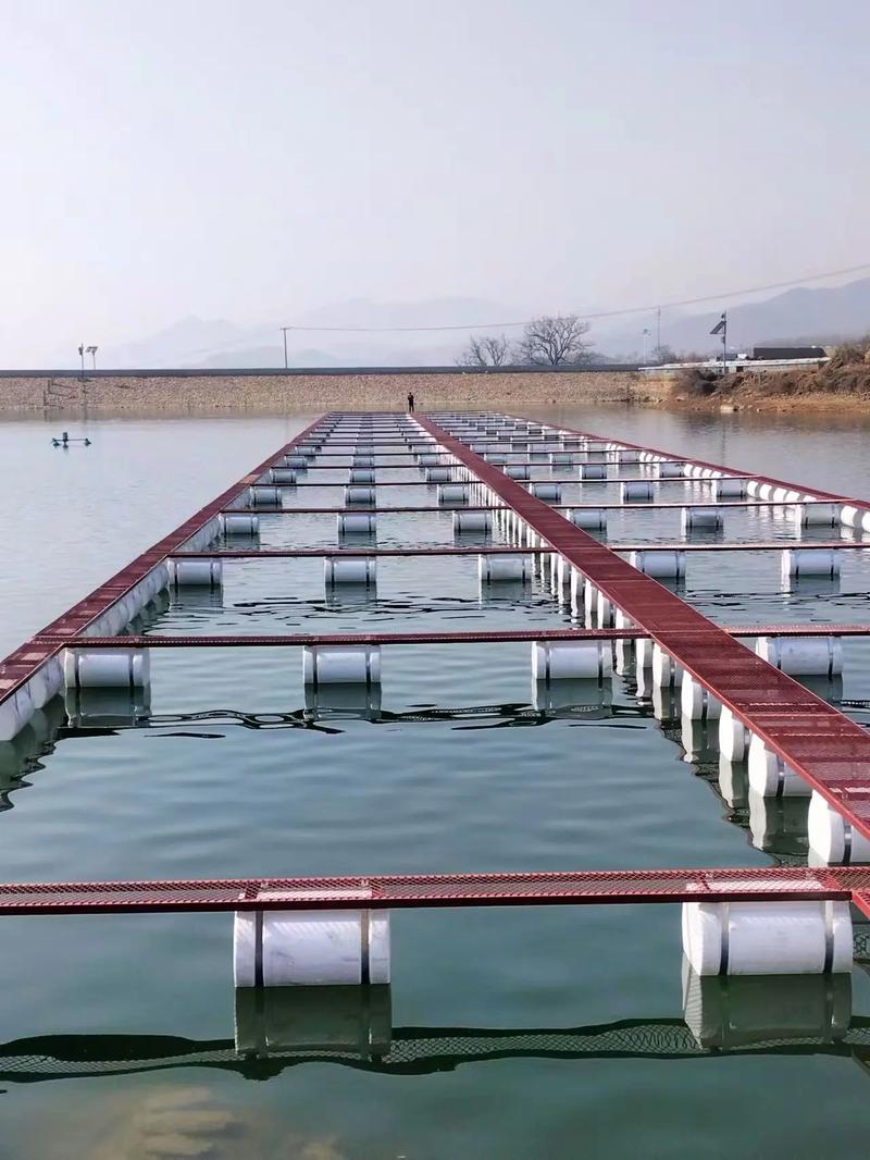 如何防止水产养殖导致湖泊萎缩？-第2张图片-宁夏农业信息网