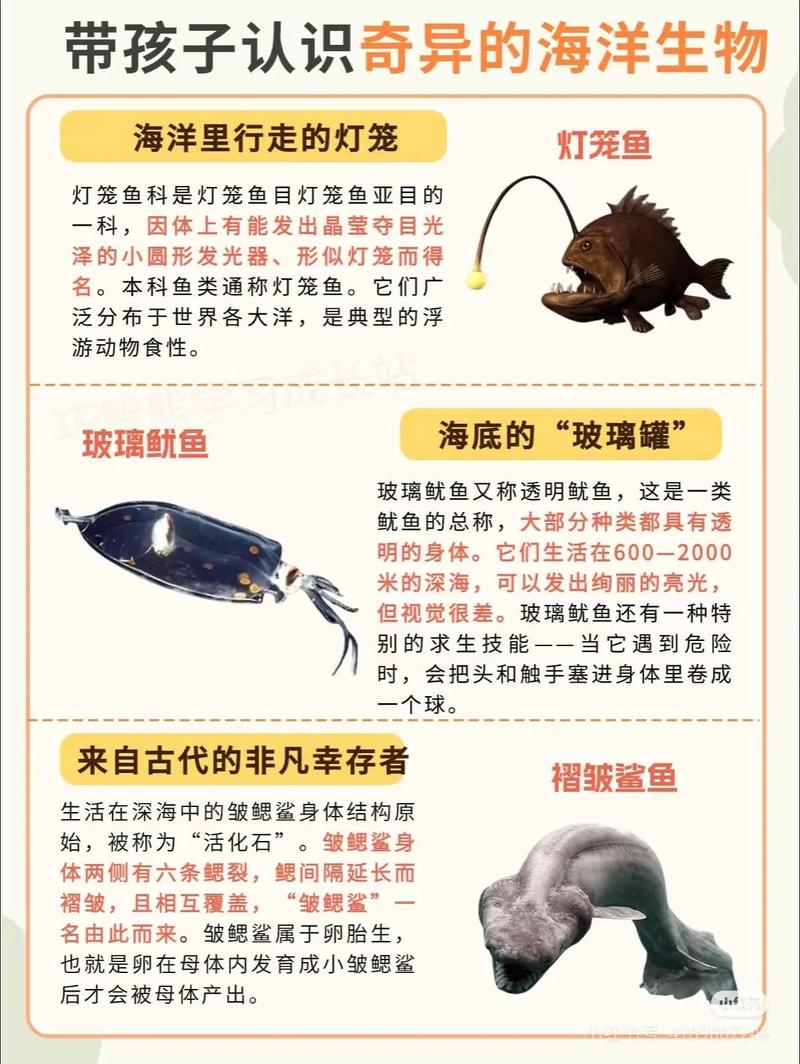 水产动物福利原则意义何在？-第2张图片-宁夏农业信息网