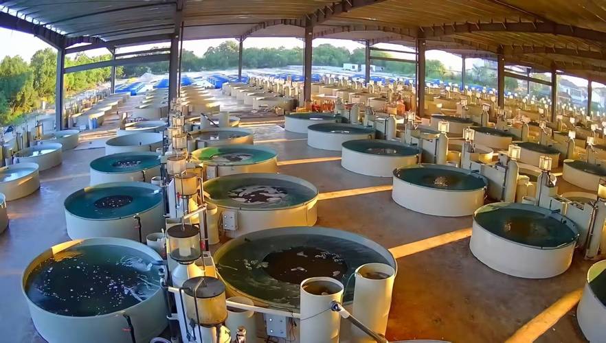 水产养殖环保改造进度如何？-第3张图片-宁夏农业信息网