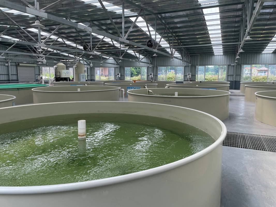 水产养殖环保改造进度如何？-第1张图片-宁夏农业信息网