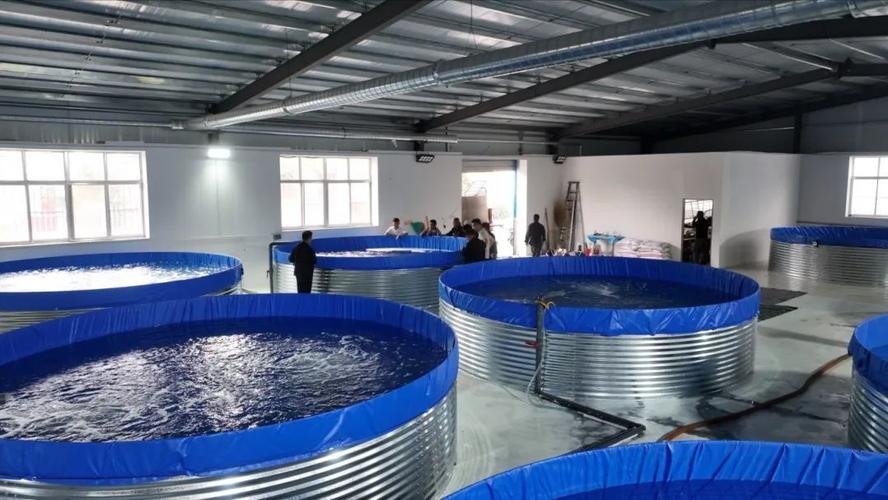 水产养殖环保改造进度如何？-第2张图片-宁夏农业信息网