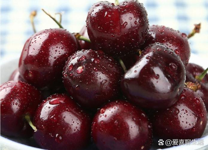 深红色樱桃是哪个品种？-第3张图片-宁夏农业信息网