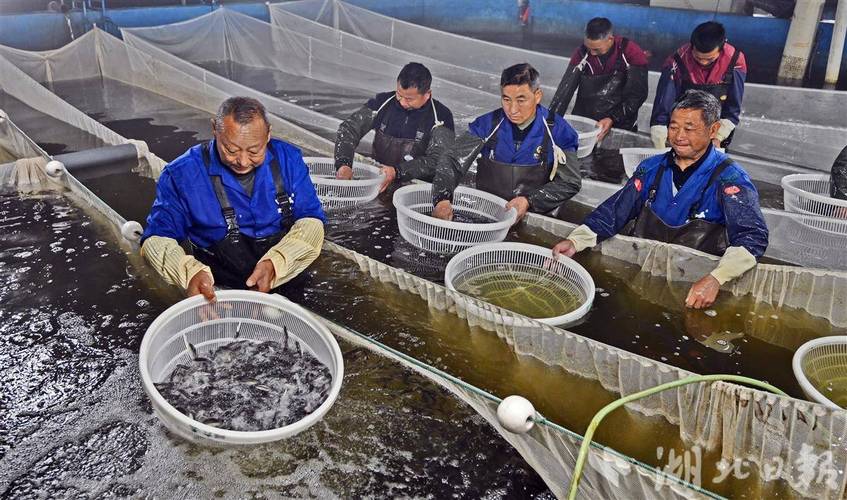 水产工厂哪种最赚钱？-第1张图片-宁夏农业信息网