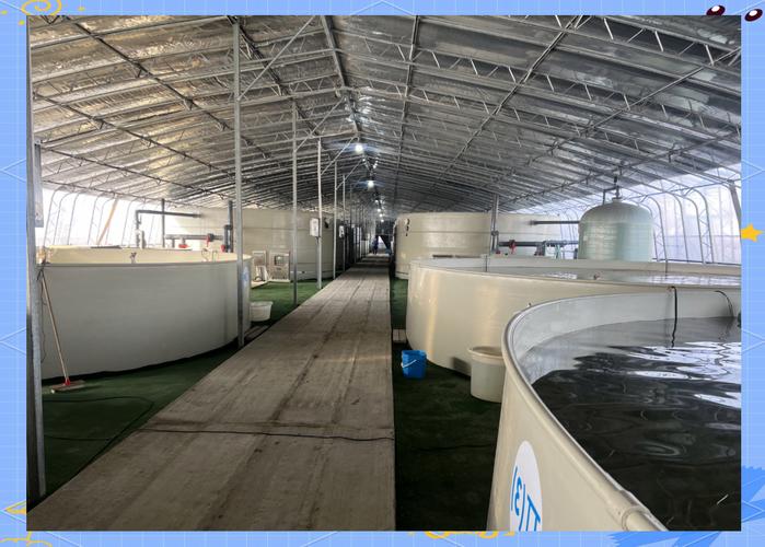 水产工厂哪种最赚钱？-第2张图片-宁夏农业信息网