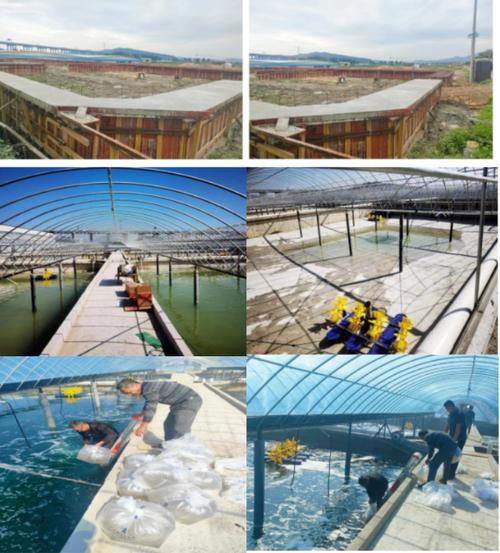 水产工厂哪种最赚钱？-第3张图片-宁夏农业信息网