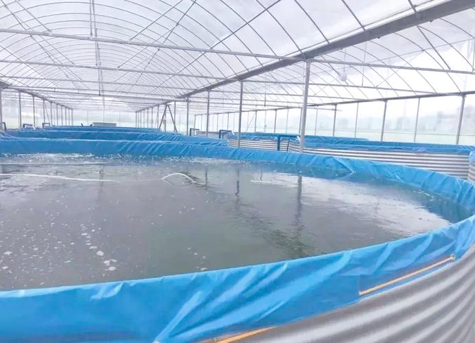 大棚水产养殖如何实现恒温控制？-第1张图片-宁夏农业信息网
