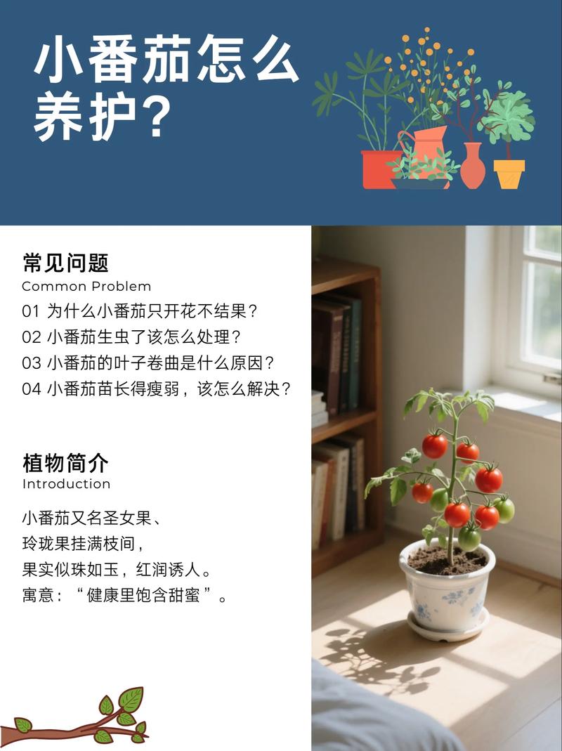 西红柿怎么种？PDF方法详解-第1张图片-宁夏农业信息网