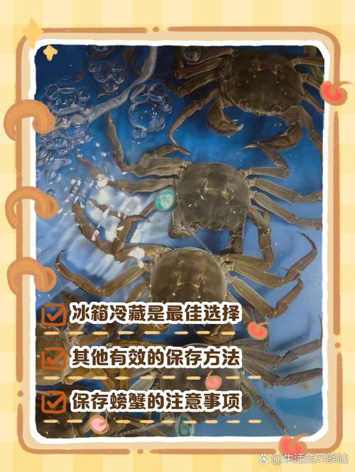 高效生态大闸蟹如何高效养殖？-第3张图片-宁夏农业信息网