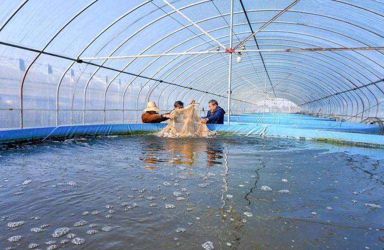 漳州水产养殖检测公司哪家靠谱？-第3张图片-宁夏农业信息网