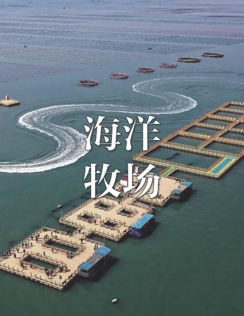 海水水产养殖加盟项目靠谱吗？-第1张图片-宁夏农业信息网