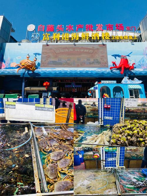 海水水产养殖加盟项目靠谱吗？-第2张图片-宁夏农业信息网