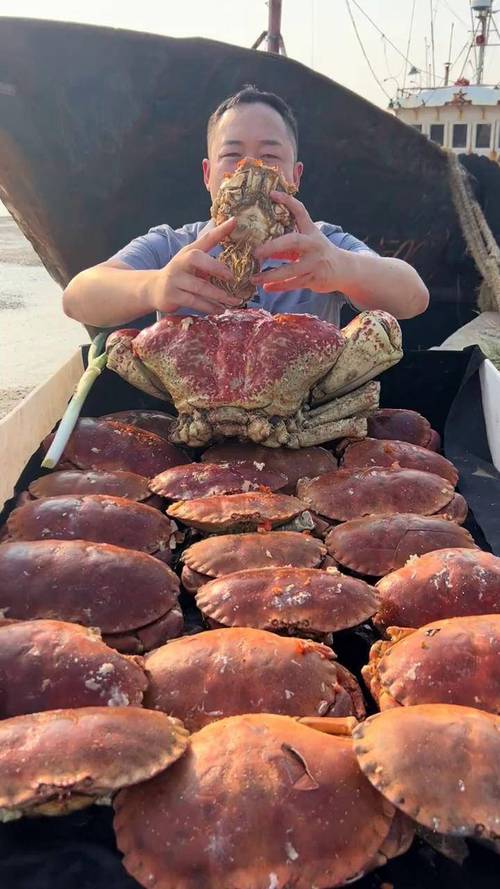 天津水产公司的面包蟹有何特色？-第1张图片-宁夏农业信息网