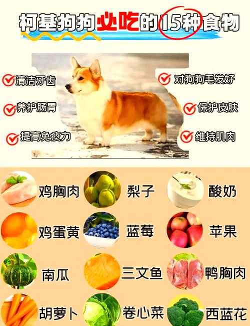 哪些狗品种能被用作肉狗？-第3张图片-宁夏农业信息网