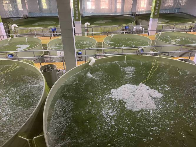 水产养殖污染如何有效监督治理？-第1张图片-宁夏农业信息网