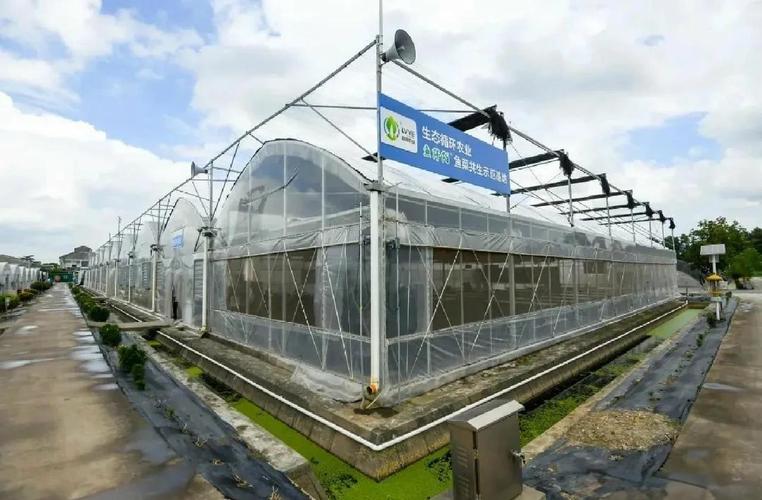 水产养殖生态问题概念-第1张图片-宁夏农业信息网