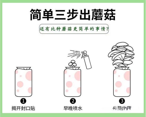 蘑菇种植方法与视频,新手如何快速入门?-第2张图片-宁夏农业信息网 蘑菇种植方法与视频,新手如何快速入门?-第2张图片-宁夏农业信息网