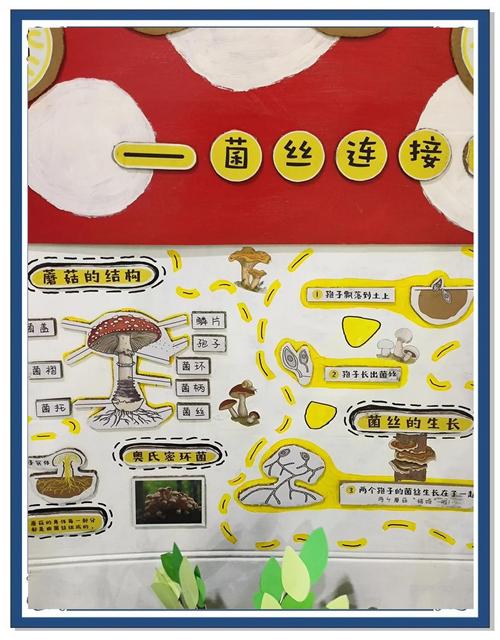 蘑菇种植方法与视频,新手如何快速入门?-第3张图片-宁夏农业信息网 蘑菇种植方法与视频,新手如何快速入门?-第3张图片-宁夏农业信息网