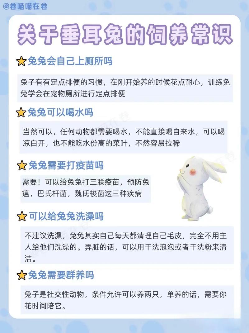 买什么品种的兔子好？-第2张图片-宁夏农业信息网