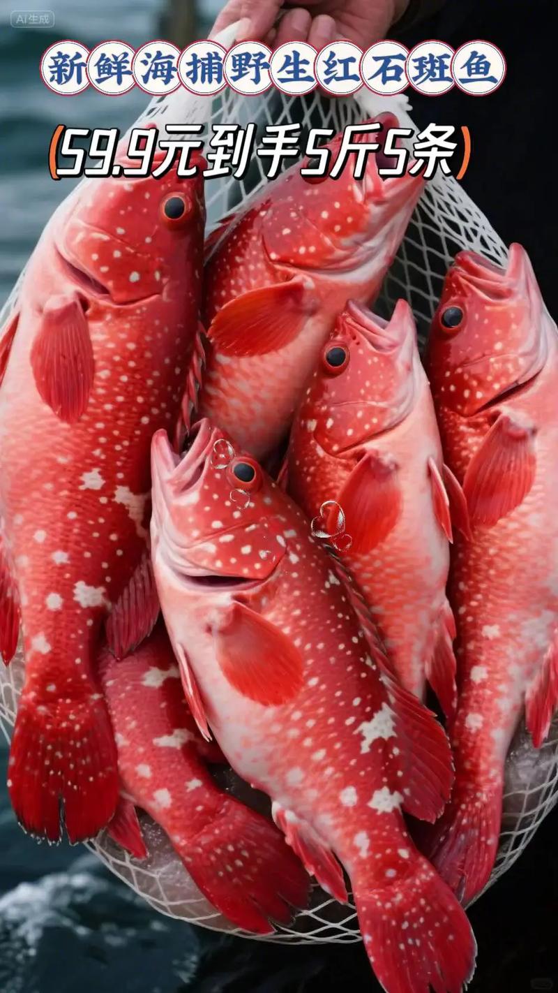 野生石斑鱼品种有多少？-第2张图片-宁夏农业信息网