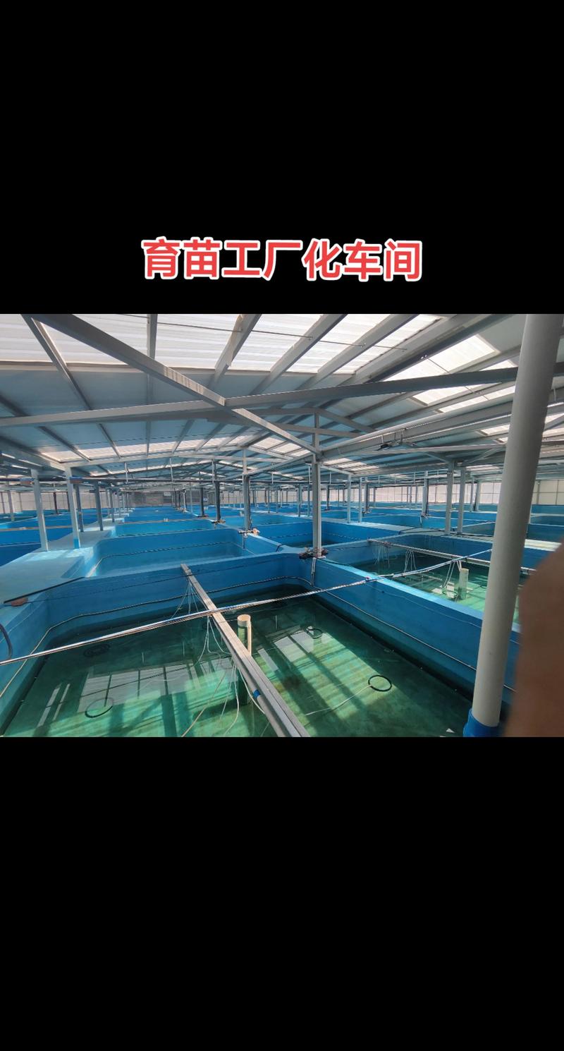 河南水产养殖技术有何新突破？-第3张图片-宁夏农业信息网