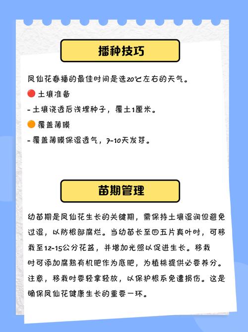 凤仙花怎么播种？步骤有哪些？-第1张图片-宁夏农业信息网