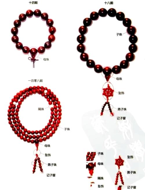 佛珠怎么养才爆盆？注意这些要点！-第2张图片-宁夏农业信息网