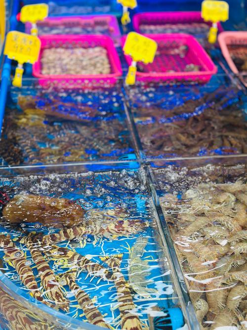 文山哪里有水产市场？-第1张图片-宁夏农业信息网