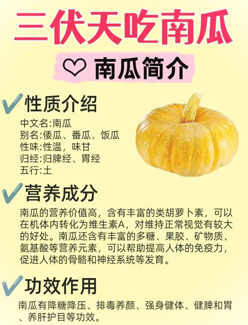 哪种南瓜品种营养价值最高？-第1张图片-宁夏农业信息网