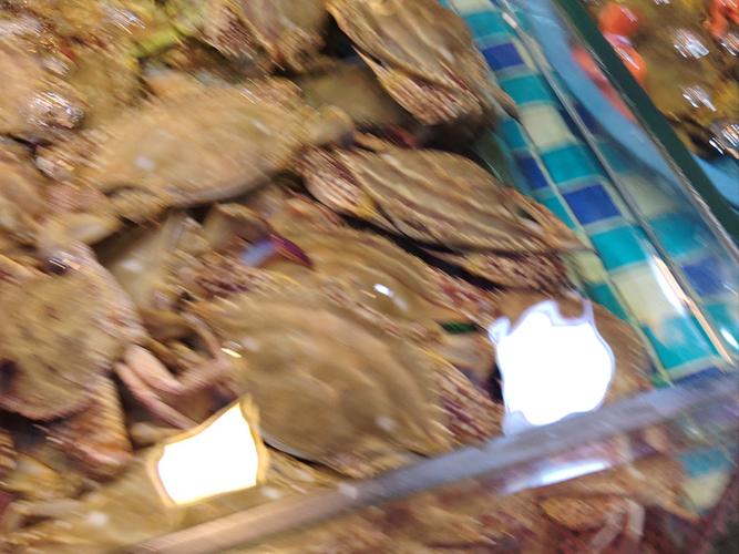 国联水产对虾为何出厂提价？-第2张图片-宁夏农业信息网