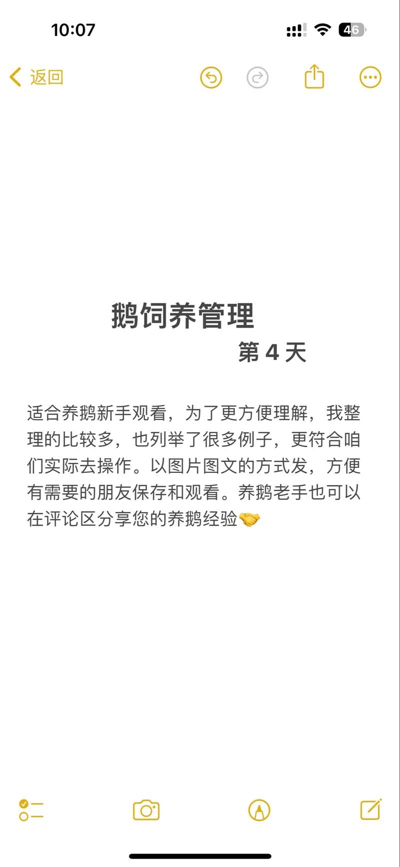 鹅怎么养？有哪些注意事项？-第1张图片-宁夏农业信息网