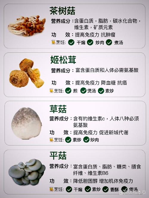 蘑菇种类品种名有多少？-第3张图片-宁夏农业信息网