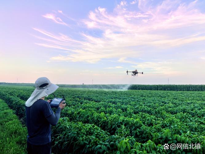 农用无人机喷药哪种方式更高效？-第1张图片-宁夏农业信息网