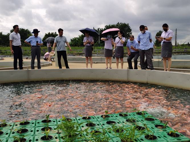 广东水产养殖工作有哪些岗位？-第2张图片-宁夏农业信息网