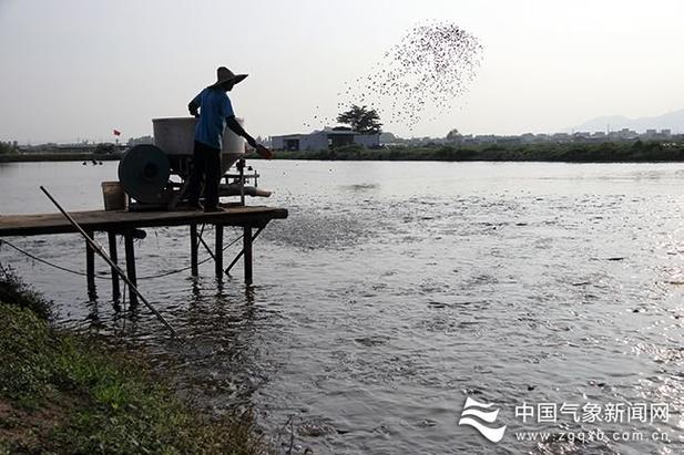 广东水产养殖工作有哪些岗位？-第1张图片-宁夏农业信息网