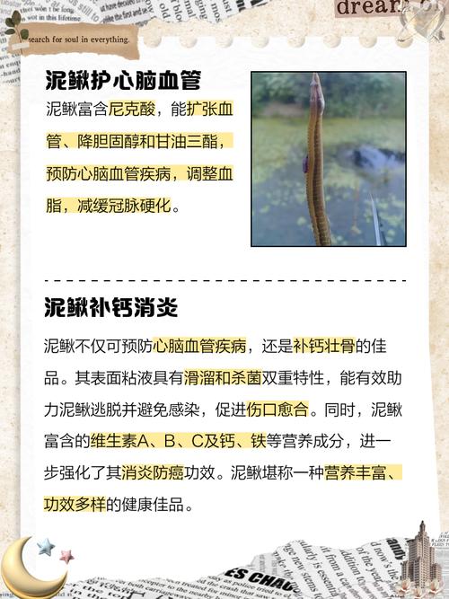 泥鳅常见疾病有哪些？如何有效防治？-第1张图片-宁夏农业信息网