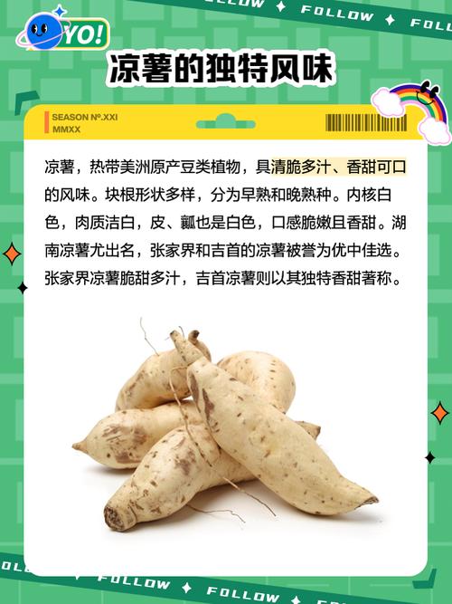 凉薯怎么种？时间、方法、管理有啥讲究？-第2张图片-宁夏农业信息网