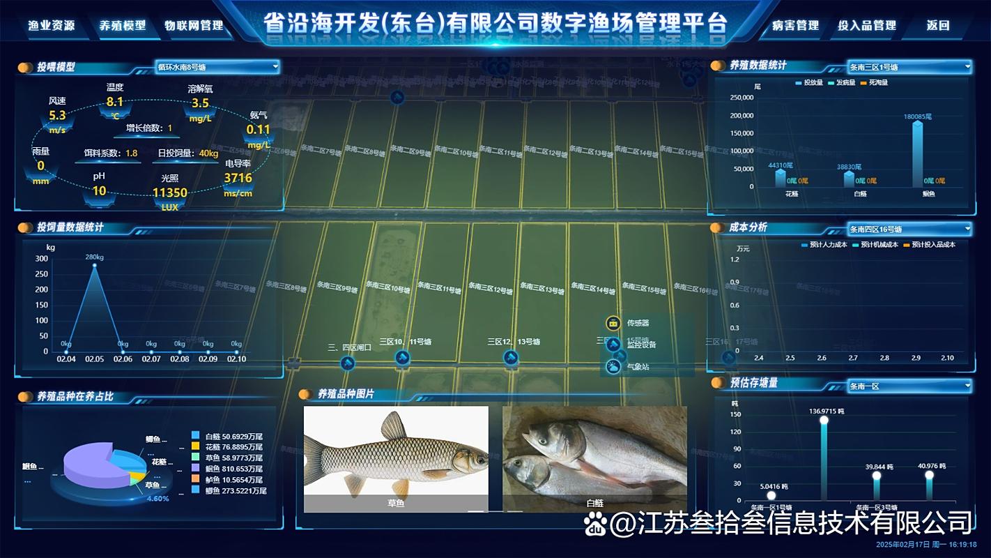 2025水产养殖如何建设？-第2张图片-宁夏农业信息网