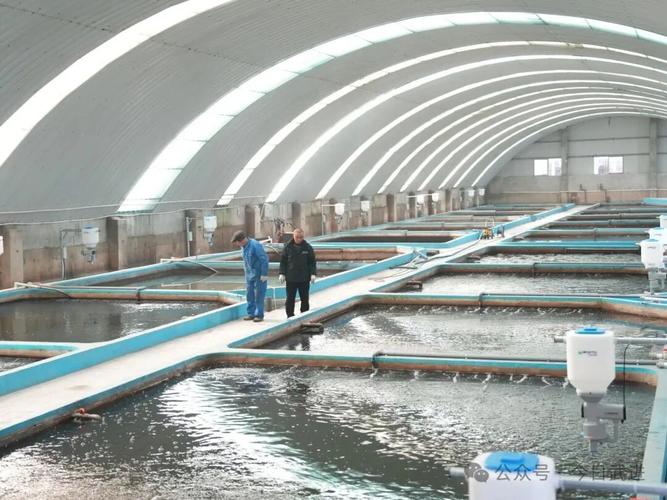 2025水产养殖如何建设？-第3张图片-宁夏农业信息网