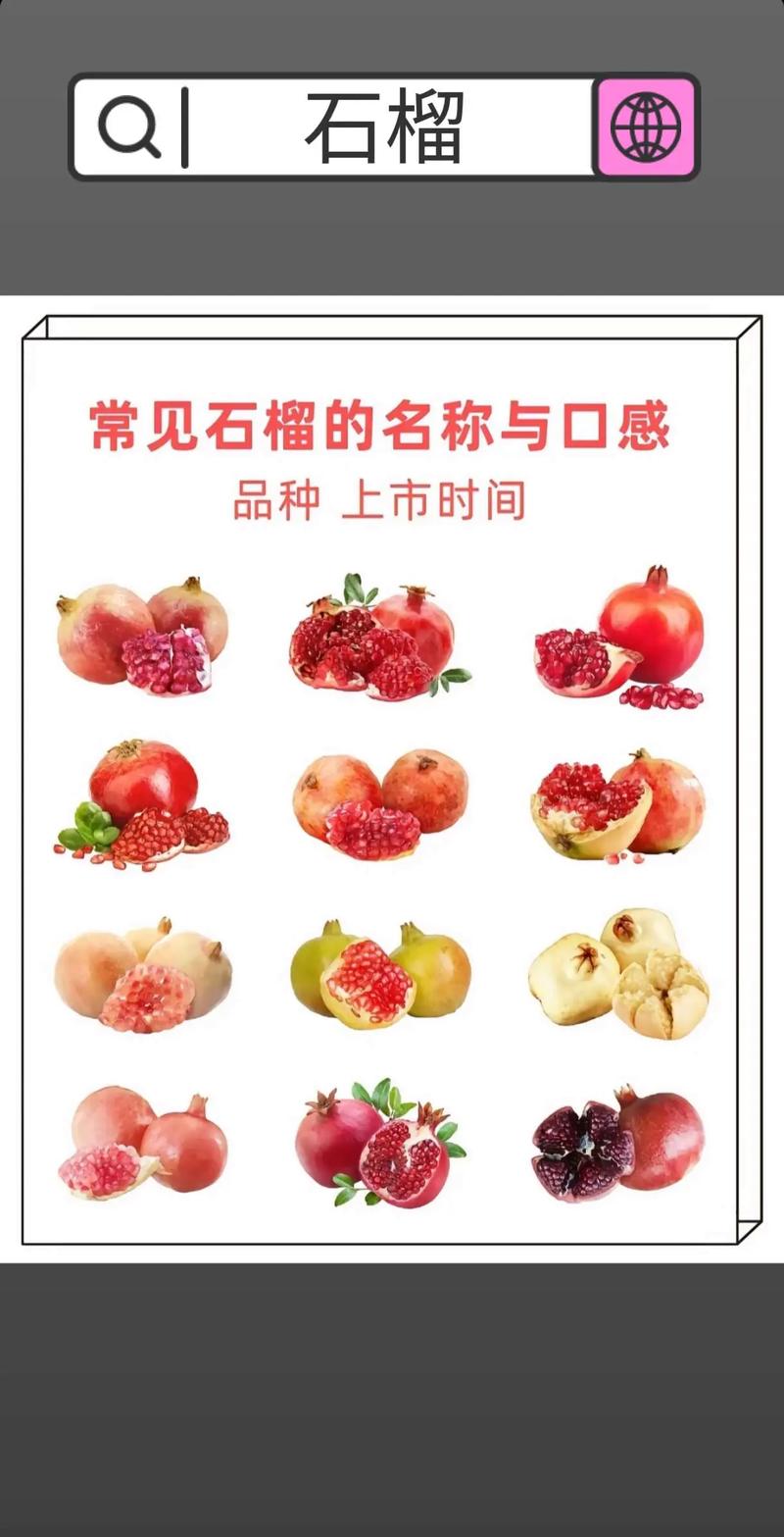 软软籽石榴品种有哪些？-第2张图片-宁夏农业信息网