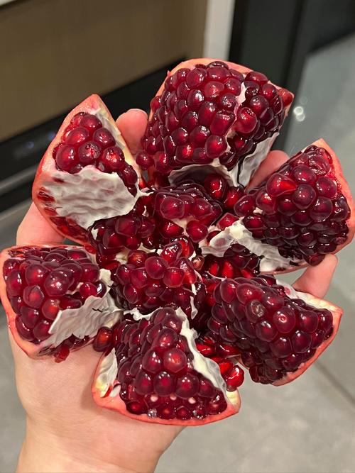 软软籽石榴品种有哪些？-第1张图片-宁夏农业信息网