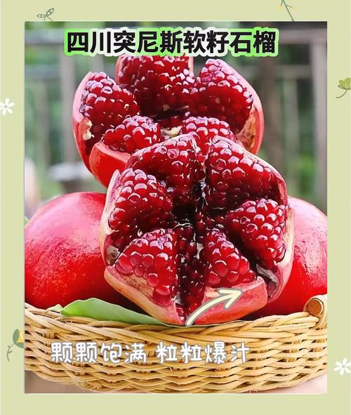 软软籽石榴品种有哪些？-第3张图片-宁夏农业信息网
