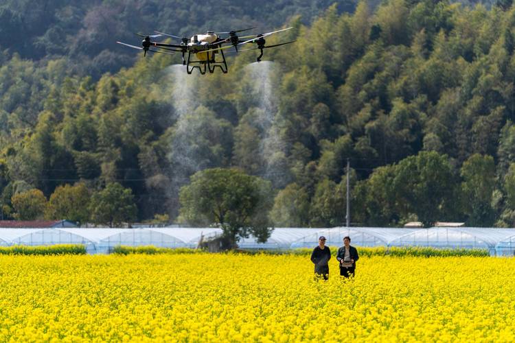 长春农用无人机应用现状如何？-第1张图片-宁夏农业信息网