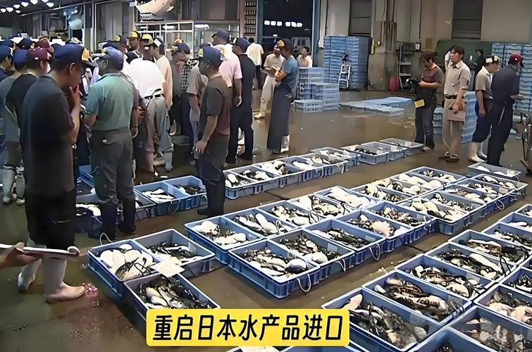 日本水产消费比例有何变化趋势？-第2张图片-宁夏农业信息网