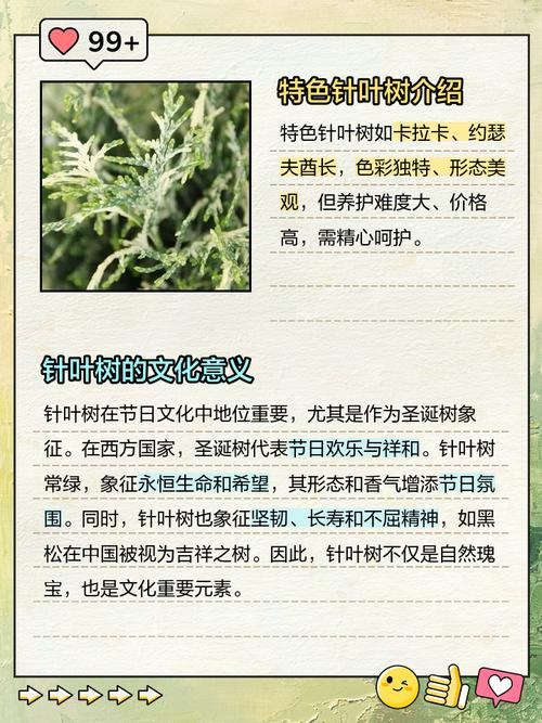 针叶树品种有哪些常见名称？-第1张图片-宁夏农业信息网