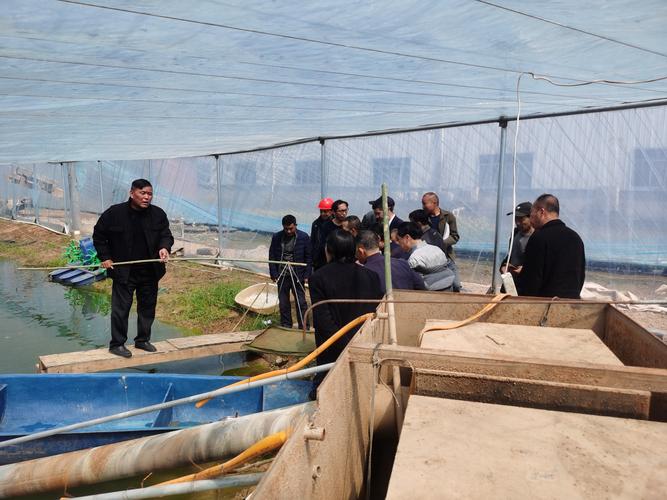 海南水产养殖工作好找吗？薪资待遇怎么样？-第1张图片-宁夏农业信息网