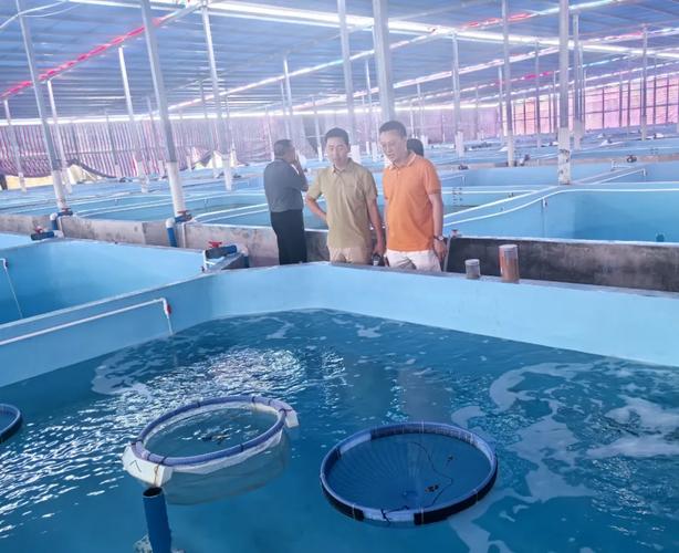 海南水产养殖工作好找吗？薪资待遇怎么样？-第3张图片-宁夏农业信息网