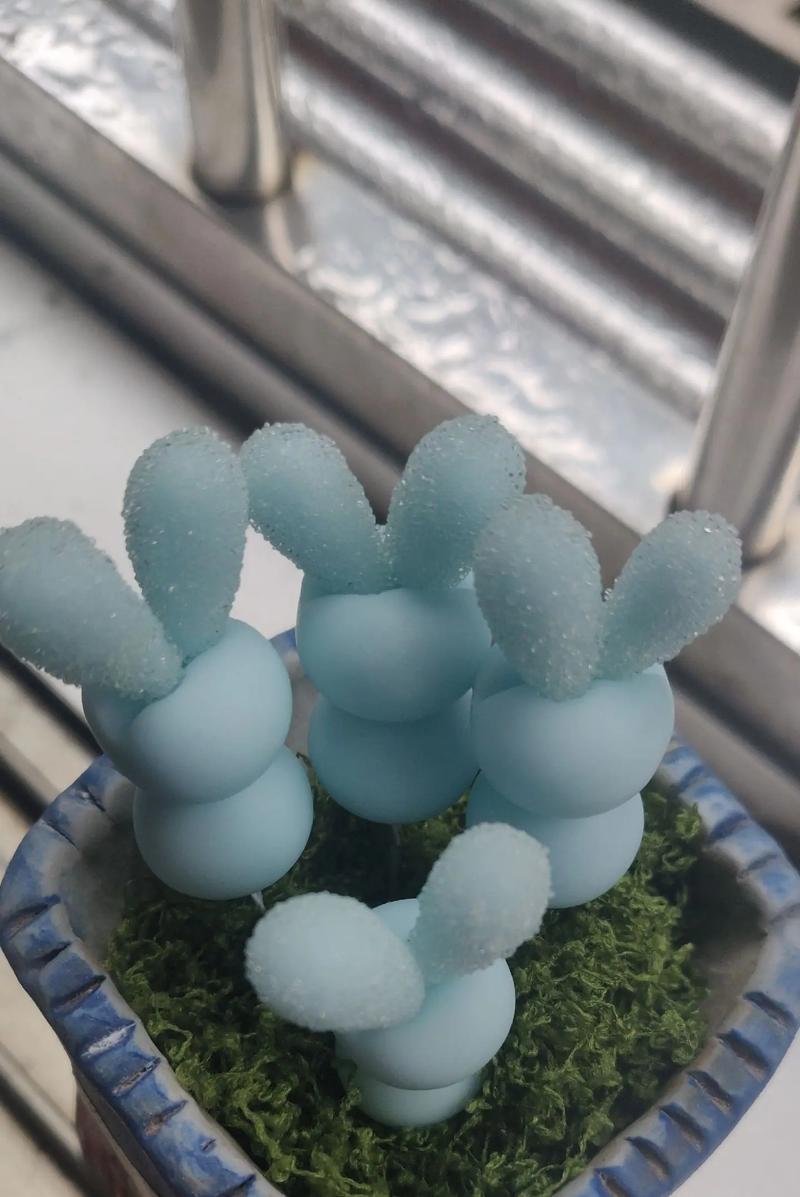 碧光环小兔子品种图片-第2张图片-宁夏农业信息网 碧光环小兔子品种图片-第2张图片-宁夏农业信息网