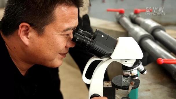 滨州无棣水产养殖现状如何？-第2张图片-宁夏农业信息网