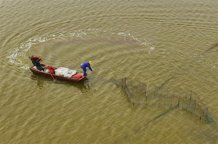 滨州无棣水产养殖现状如何？-第3张图片-宁夏农业信息网