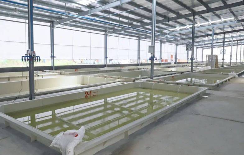 中国水产繁殖技术有何突破与挑战？-第1张图片-宁夏农业信息网